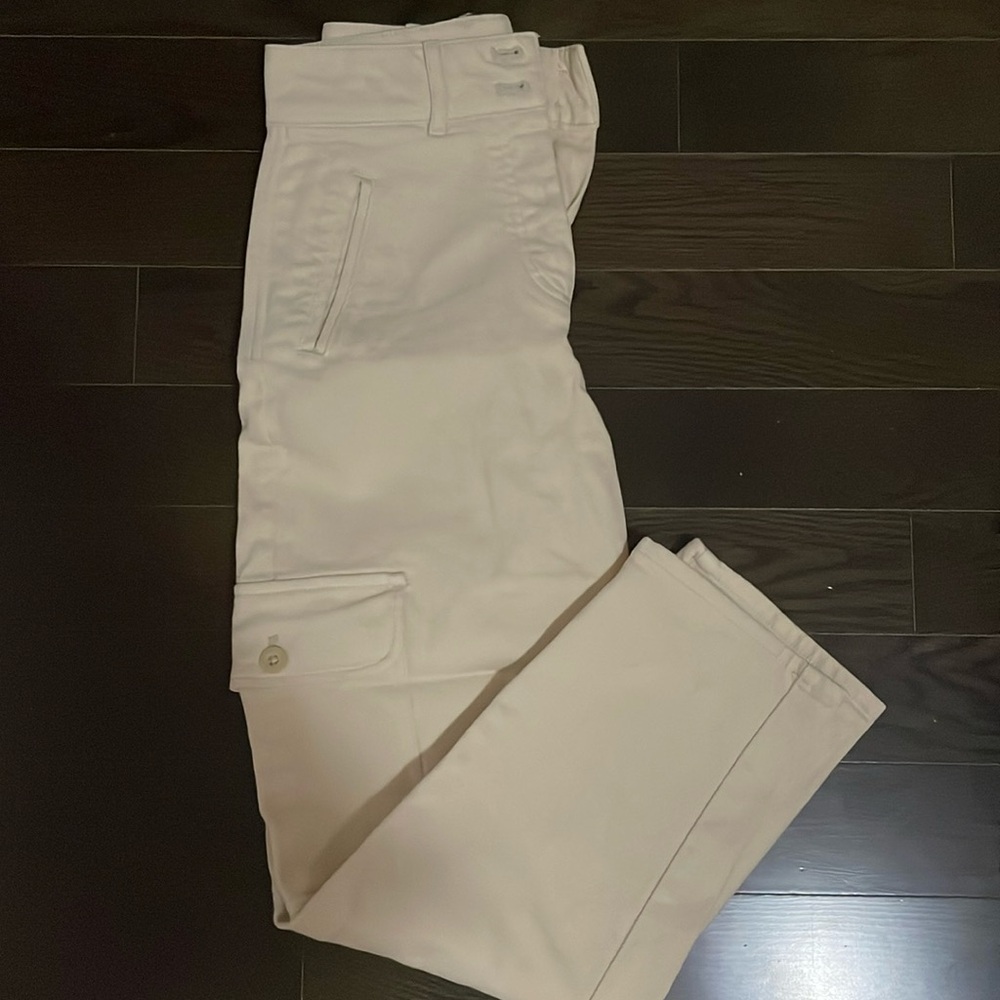 ARITZIA pant